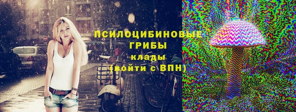 МДПВ Аркадак