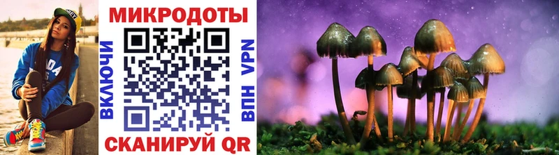 Галлюциногенные грибы Psilocybine cubensis Баймак